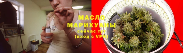 прущие грибы Белокуриха