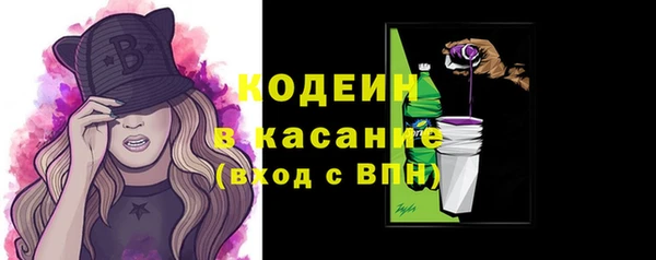 шишки Беломорск