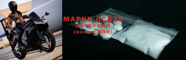 прущие грибы Белокуриха