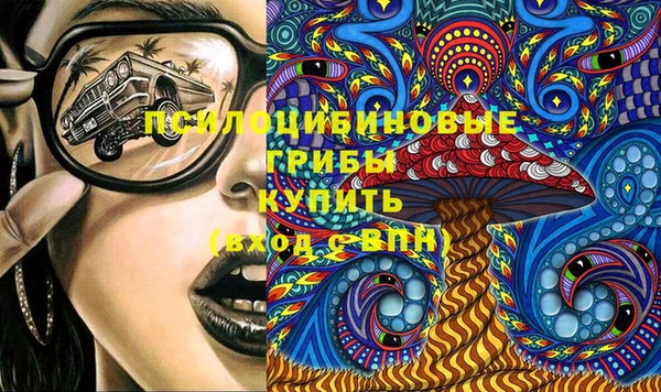 шишки Беломорск