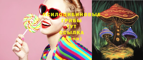 прущие грибы Белокуриха