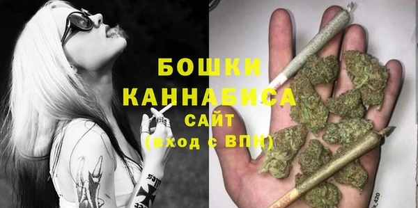 шишки Беломорск