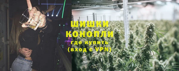 прущие грибы Белокуриха