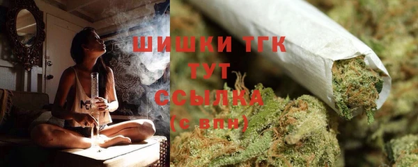 прущие грибы Белокуриха