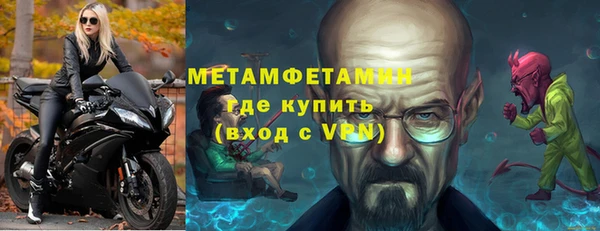 шишки Беломорск